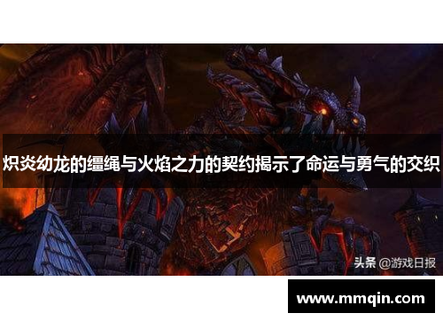 炽炎幼龙的缰绳与火焰之力的契约揭示了命运与勇气的交织